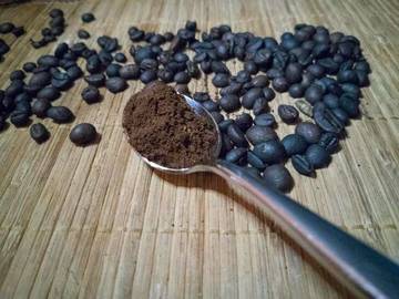 Manfaat Ampas Kopi untuk Tanaman