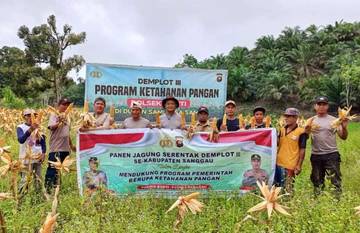 Polsek Bonti Panen Jagung Perkuat Ketahanan Pangan