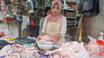 Jelang Akhir Tahun, Harga Ayam di Entikong Tinggi