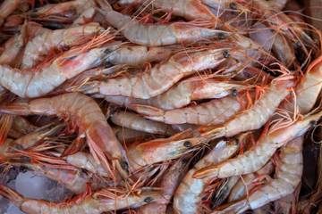 Cara Membersihkan Udang yang Benar