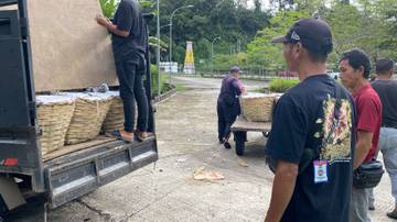 Iklim Tak Menentu, Ekspor Buah Stabil