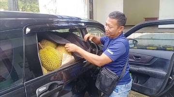 Ekspor Durian Entikong ke Malaysia Mulai Menurun