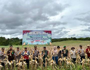 Polres Sanggau Gelar Panen Raya Jagung Kuartal I