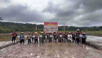 Yonif 833/BD Tanam Padi Dukung Ketahanan Pangan