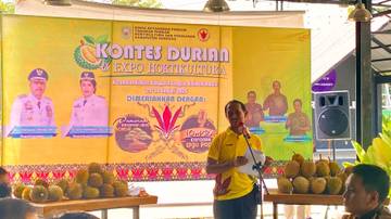 Pemkab Sanggau Dorong Pengembangan Durian Lokal Unggul