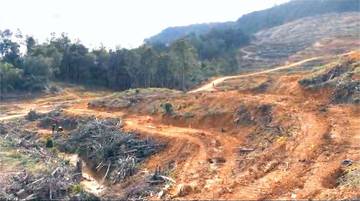 Reboisasi Tak Cukup Pulihkan Bukit Macan