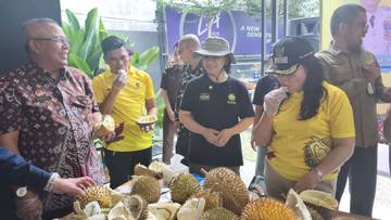 Kontes Durian Sanggau Tunjukkan Potensi Rasa Khas
