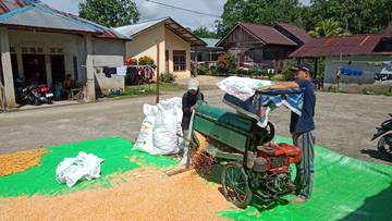 Pemdes Engkahan Lakukan Pemipilan Jagung Ketahanan Pangan