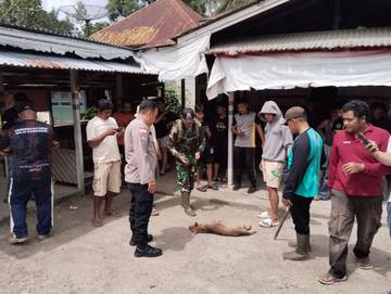 Dua Warga Sekayam Jadi Korban Gigitan HPR