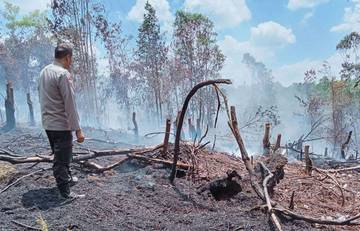 Cegah Karhutla, Hotspot Kapuas Diverifikasi