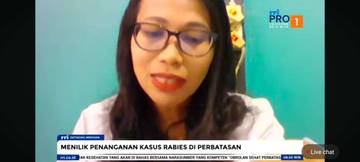 Cakupan Vaksinasi Hewan Kecamatan Entikong Tembus Tujuh Puluh