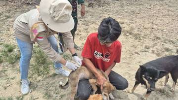 Kasus Rabies di Sekayam Meningkat, Ratusan HPR Divaksin