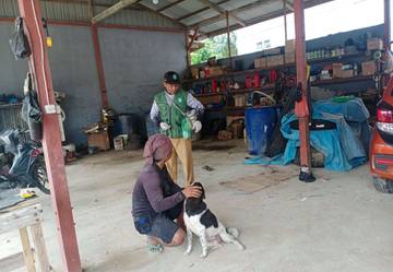 Antisipasi Rabies, Warga Tunda ke Kebun untuk Vaksinasi