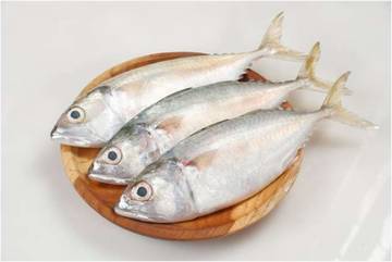 Ikan Kembung, Kandungan, Manfaat, dan Cara Mengolahnya
