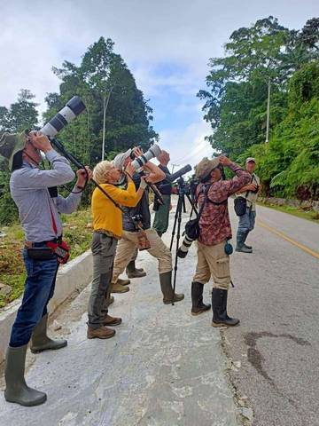 Keindahan Alam Fakfak Tarik Minat Wisatawan Asing