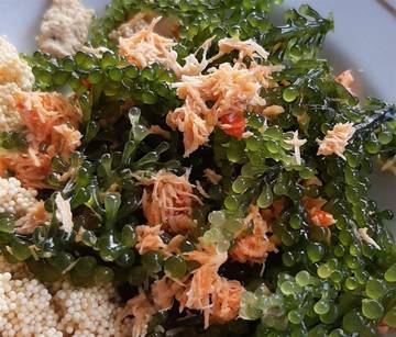 Olahan Urap Anggur Laut: Makanan Unik Wajib Dicoba