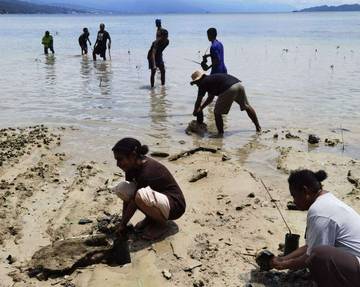 Warga Purwahab Tonggo Antusias Hijaukan Pesisir Kampung