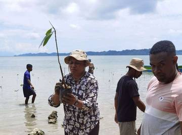 Bibit Manggi-manggi Terpilih Ditanam untuk Cegah Abrasi
