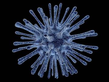 Moyamoya Disease,Penyakit Unik yang Jarang Diketahui
