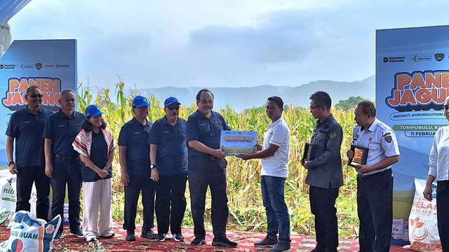 Agrosolution Perkuat Produktivitas Jagung Dukung Ketahanan Pangan