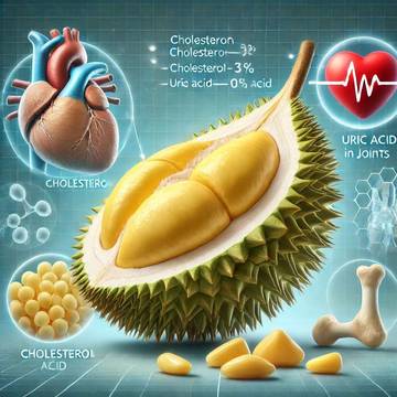 Durian Bikin  Kolesterol dan Asam Urat?