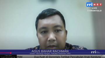 Gorontalo Dorong Pengembangan Tanaman Sorgum Lokal