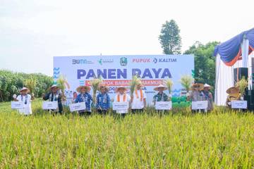  PKT BISA Mampu Dongkrak Panen dan Sejahterakan Petani 