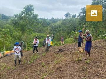 BRMP Dorong Padi Gogo di Lahan Kering