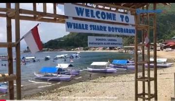 Kebersihan Wisata Hiu Paus Jadi Prioritas