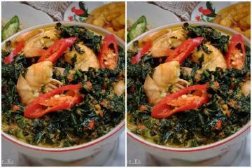 Resep Gulai Daun Pepaya Jepang