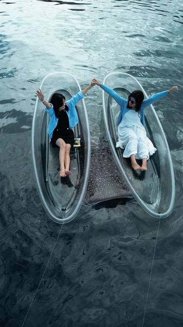  Aston Gorontalo Tawarkan Wisata Berenang dengan Hiu Paus