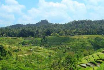 Manfaat Tinggal di Dusun yang Menyenangkan