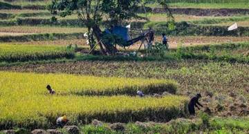 Perlunya Lahan Pertanian Dukung Swasembada Pangan