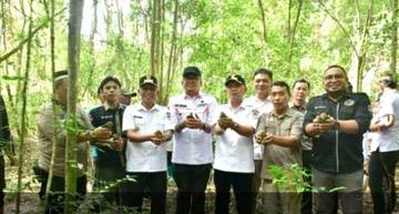 Pemkab Pohuwato Lepas 10 Ekor Burung Maleo
