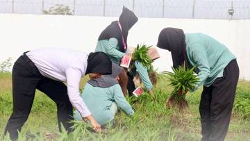 Lapas Perempuan Gorontalo Panen Kangkung Hasil Program Pembinaan 