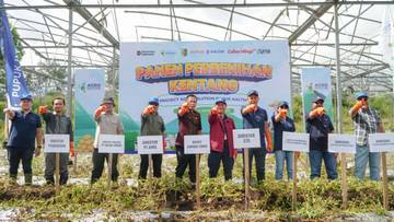 Pupuk Kaltim Dorong Lonjakan Produksi Benih Kentang Nasional