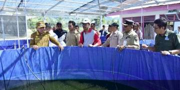 Bioflok Desa Puncak Jaya Tingkatkan Ekonomi