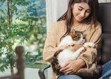 Manfaat Memelihara Kucing: Hidup Lebih Sehat dan Bahagia