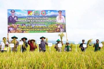 Sofyan Hadiri Panen Raya Padi Dukung Ketahanan Pangan