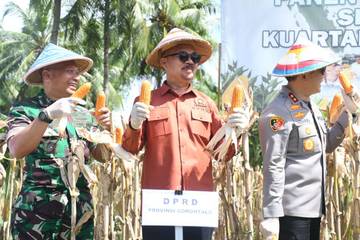 Kasrem Hadiri Panen Raya Jagung di Bone Bolango