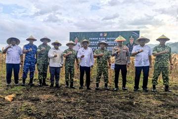 Sugondo Hadiri Panen Raya Jagung di Mayonif 824/Mo’e’a