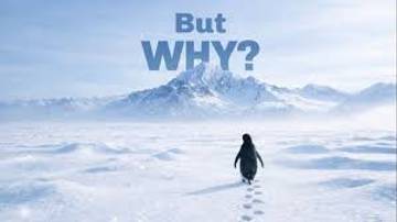 Nihilist Penguin Viral, Simbol Keresahan Warganet