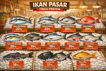 Kasta Ikan Tinggi Protein Selain Salmon