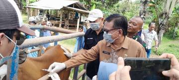 Pemprov Gorontalo Laksanakan Vaksinasi PMK Serentak di Tilongkabila