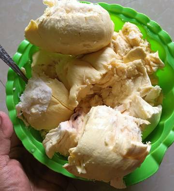 Durian Montong, Si Primadona Berdaging Tebal