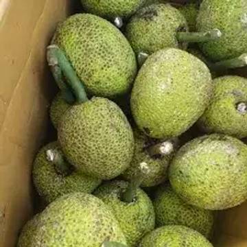 Manfaat Buah Sukun bagi Kesehatan Tubuh