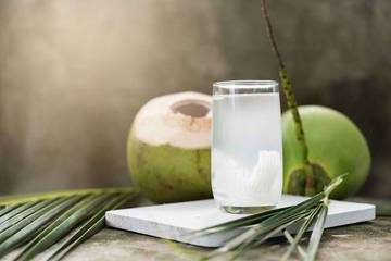 Air Kelapa Muda VS Air Kelapa Tua