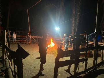 Polres Pohuwato Bongkar Arena Judi Sabung Ayam