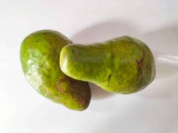Cara memilih buah alpukat yang berkualitas