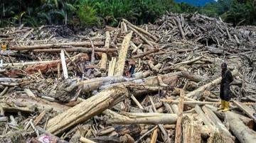 Kemenhut: Kayu Terbawa Banjir Sumatra Boleh Dipergunakan Rakyat